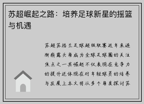 苏超崛起之路：培养足球新星的摇篮与机遇
